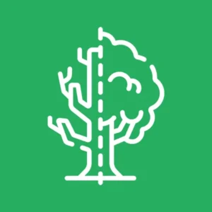 Tree Trimming Near Me Saskatoon, SK