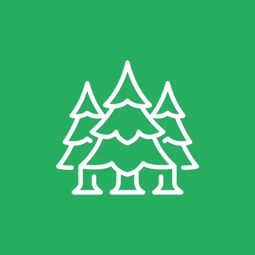 Tree Service Saskatoon, SK