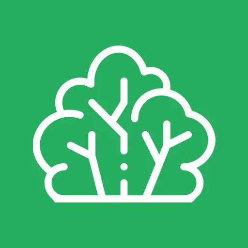 Tree Pruning Services Near Me Saskatoon, SK