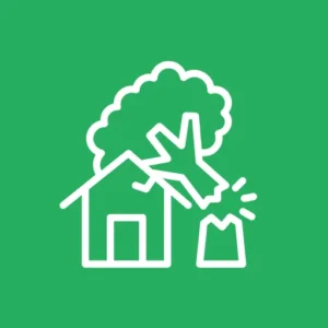 Tree Emergency Services Near Me Saskatoon, SK