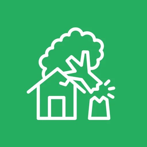 Tree Emergency Services Near Me Saskatoon, SK