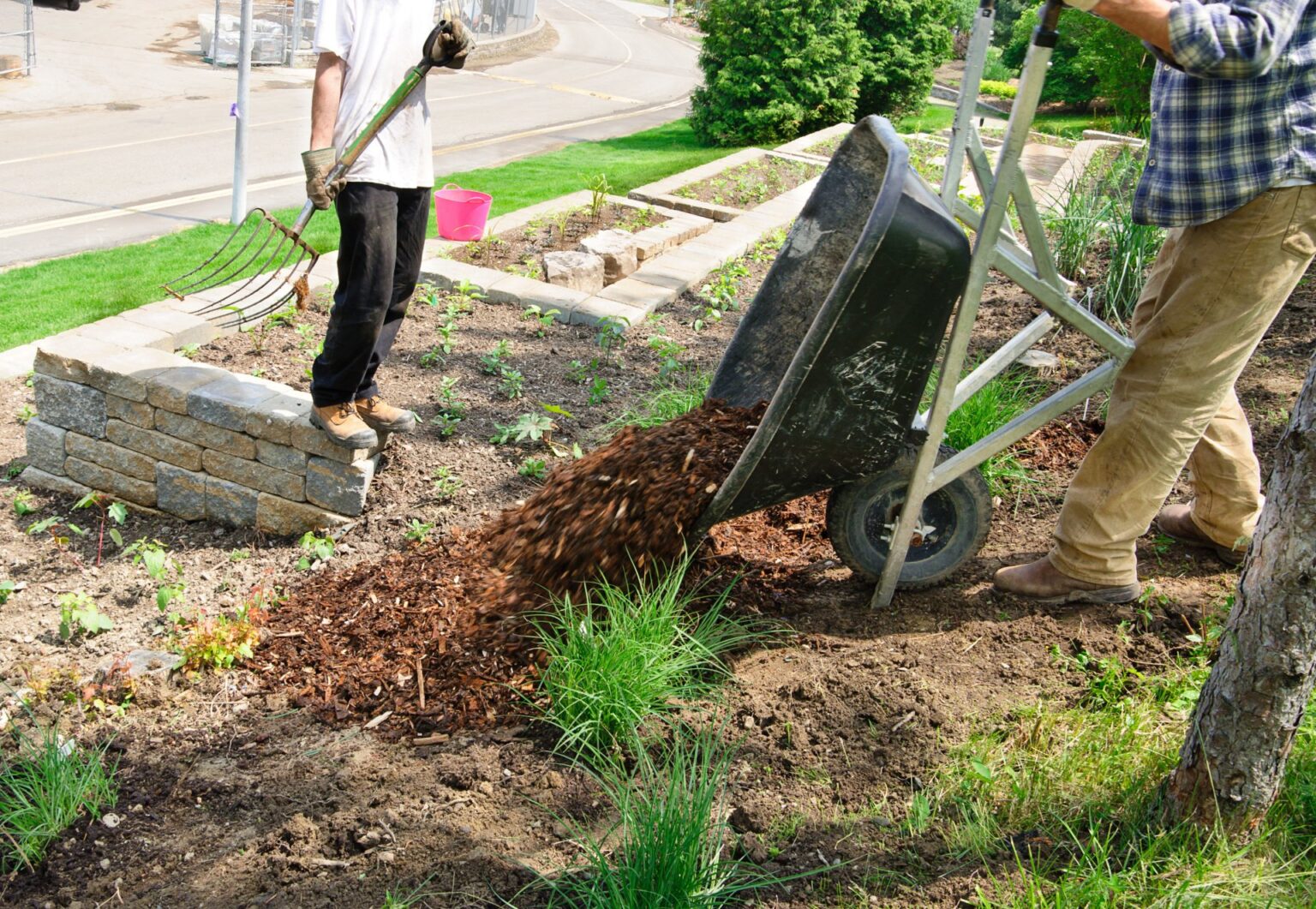 Tree Planting Saskatoon, SK