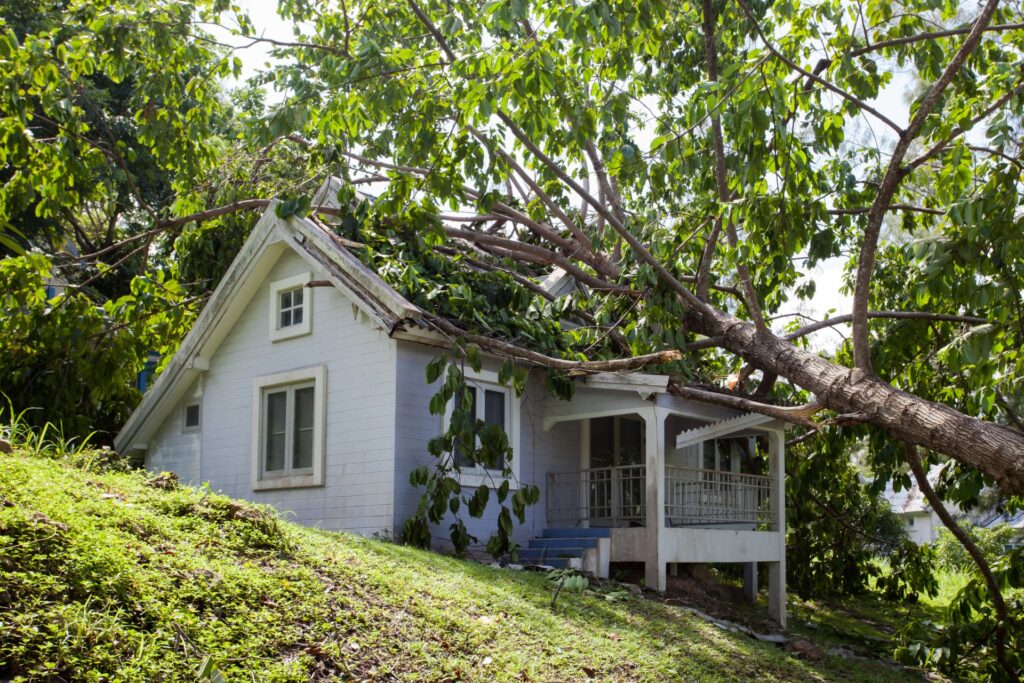 Tree Fallen on a House in Warman, SK