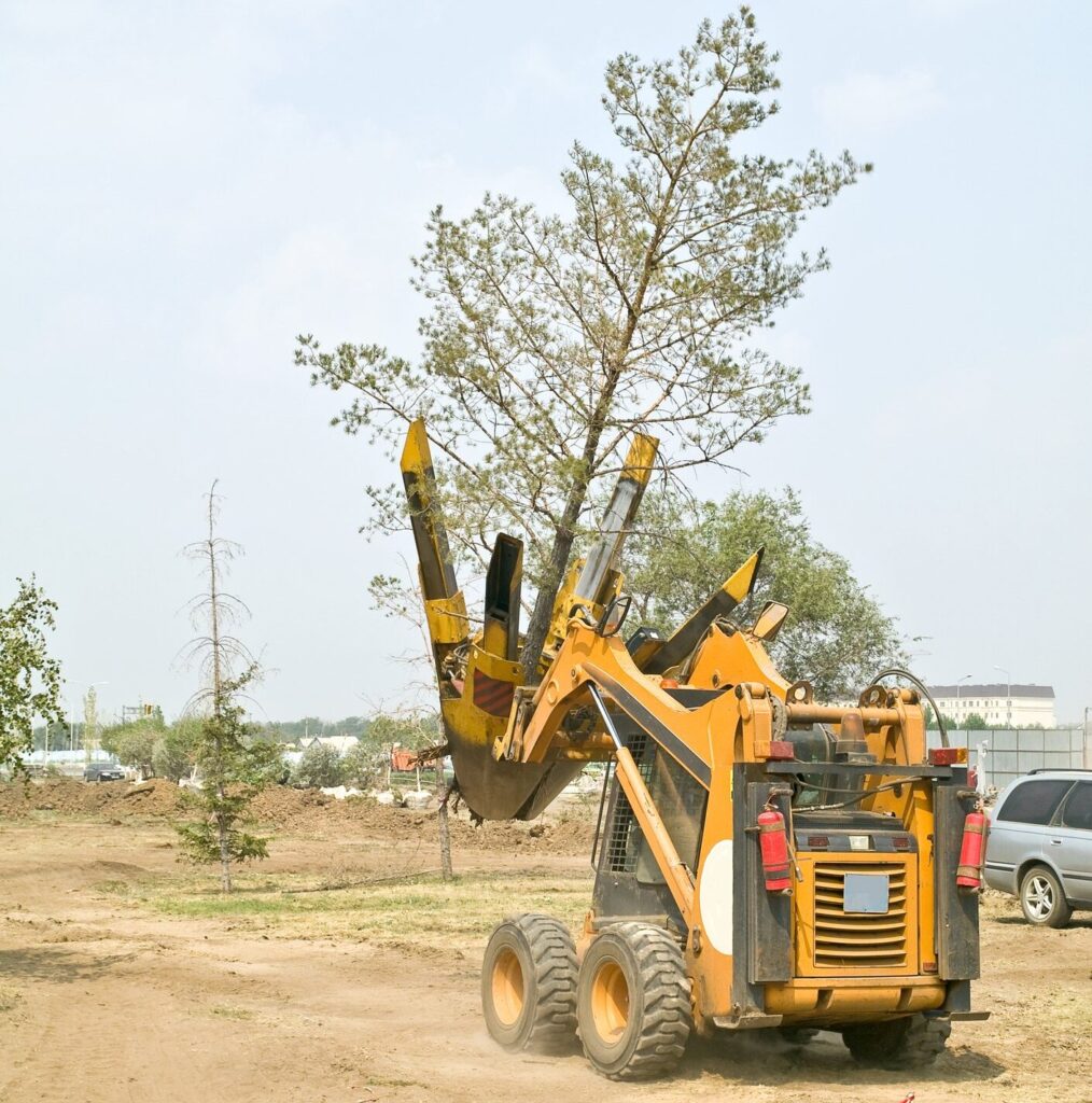 Tree Service Company Saskatoon, SK
