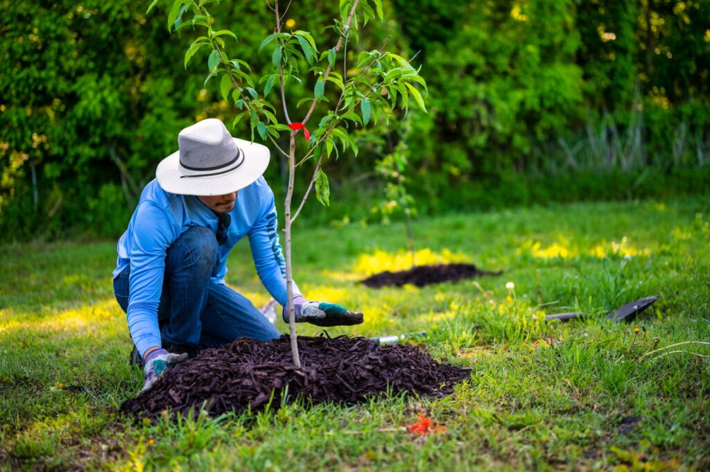 Tree Chopping Services Cedar Villa Estates, SK