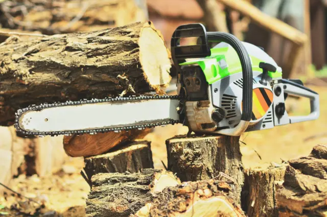 Tree Services Saskatoon, SK
